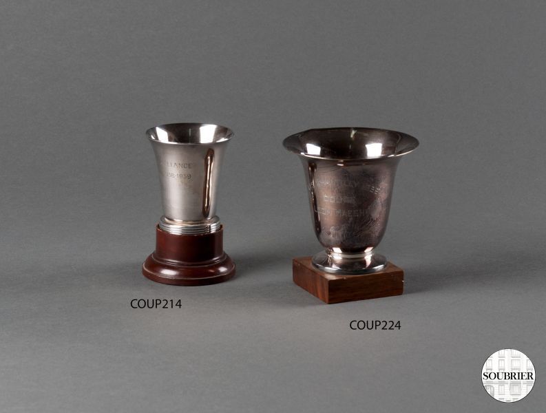 Pair of sport cups