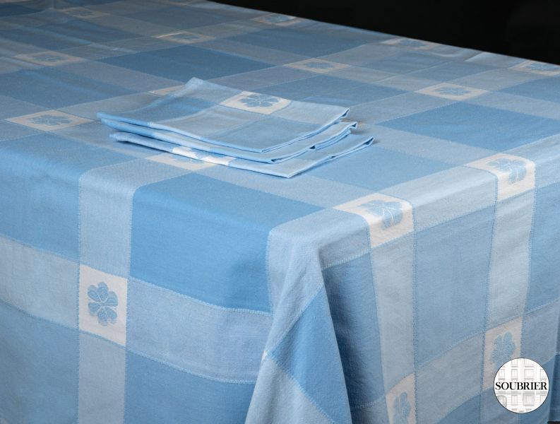 Blue checked tablecloth