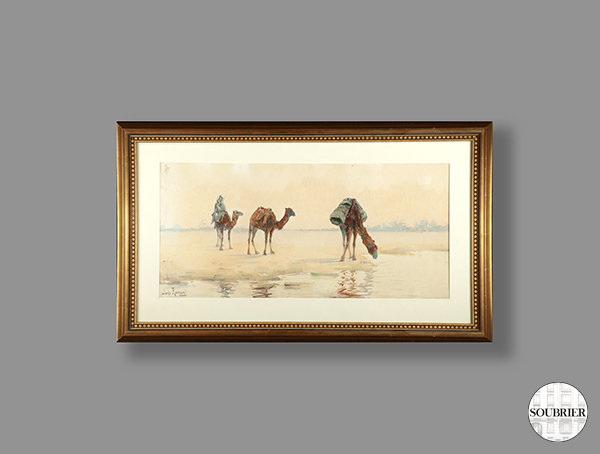 Watercolor with three camels