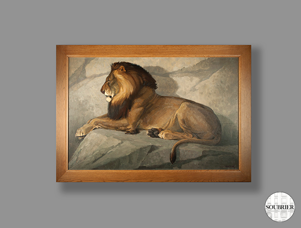 Oil of a lion lying