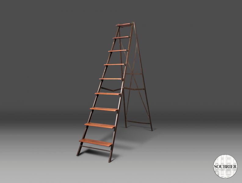 Library ladder