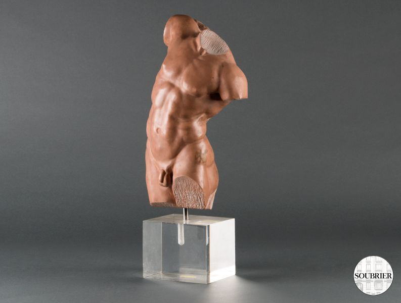 Man torso