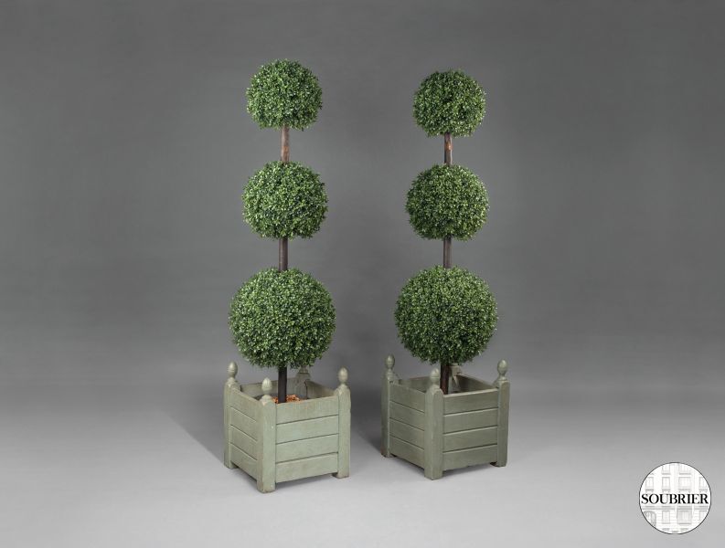 Pair of box trees
