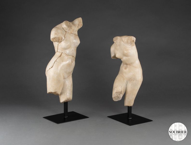 Pair of Venus