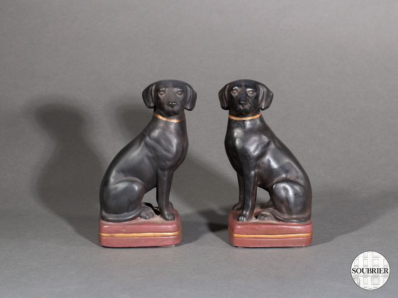 serre livre chien