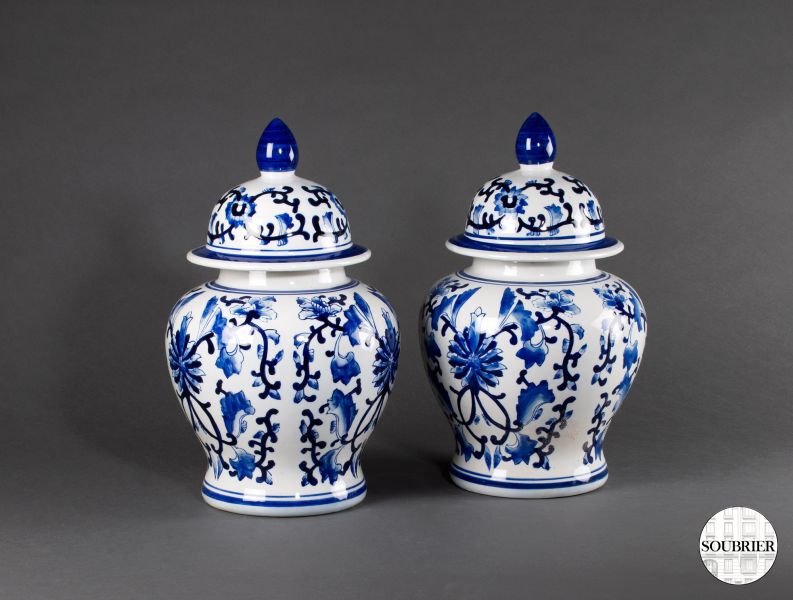 Pair of Chinese vases