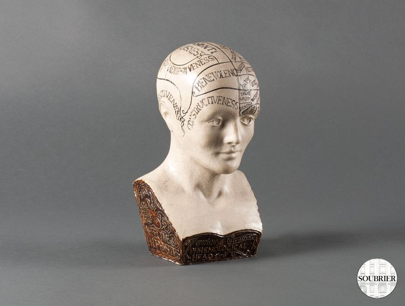 Plaster phrenology head