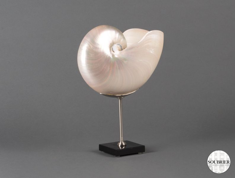 mother-of-pearl nautilus shell