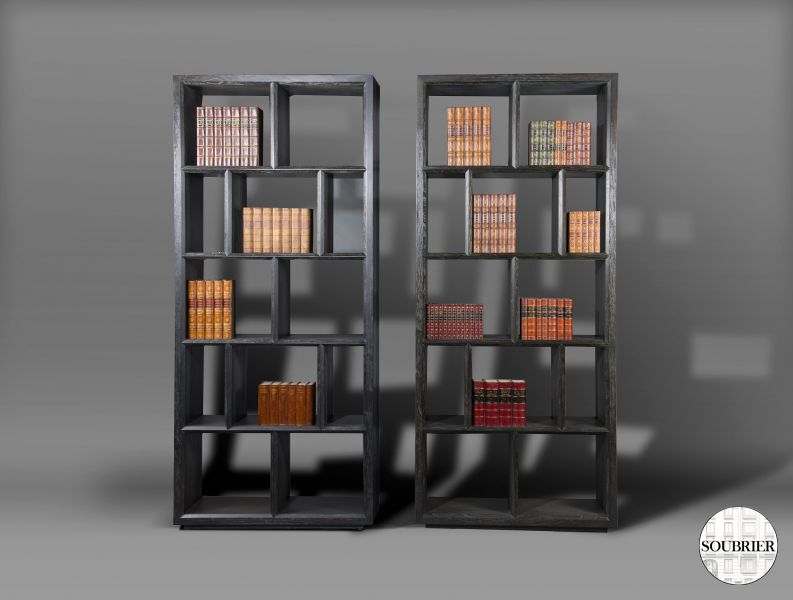 Pair mondern bookshelfs