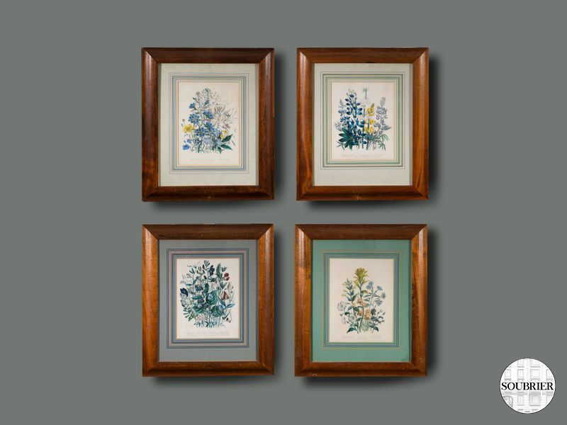 gravure couleur  Gir