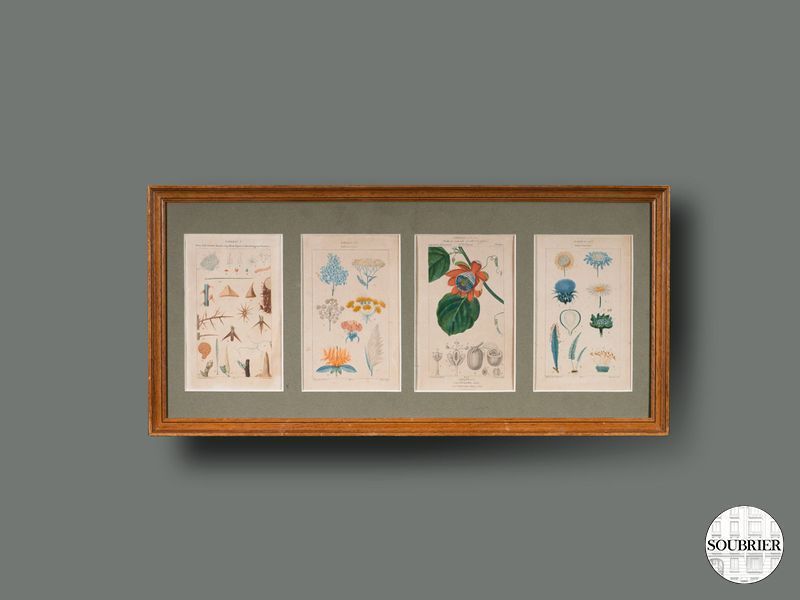 planche de 4 gravure