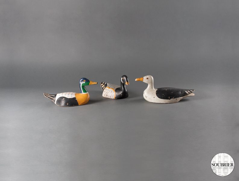 Three wood ducks decoys