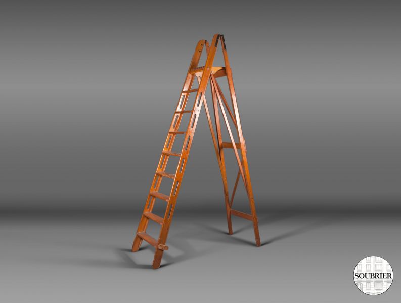 Library ladder