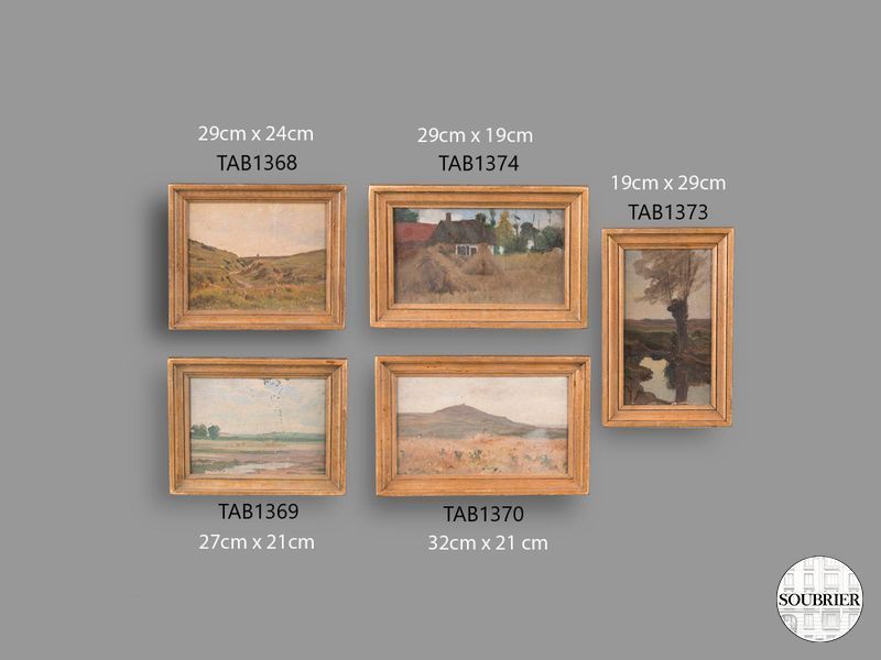 Set of 5 landscapes