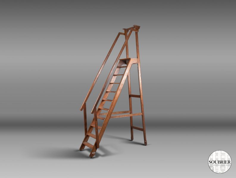 Library ladder