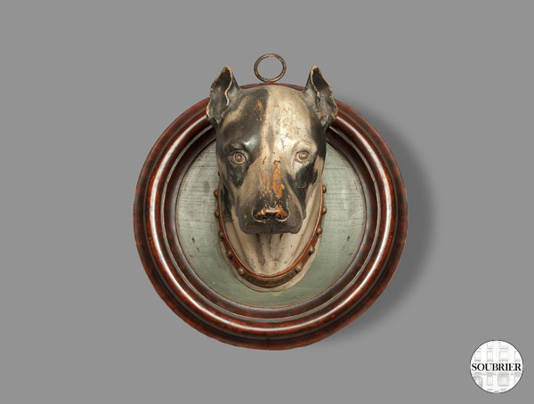 Dog's head in a frame