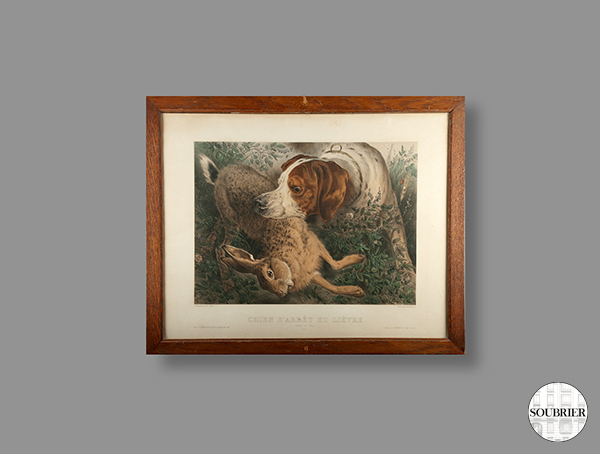 Gravure chien de chasse