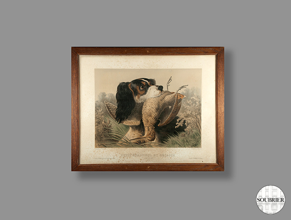 Gravure chien de chasse