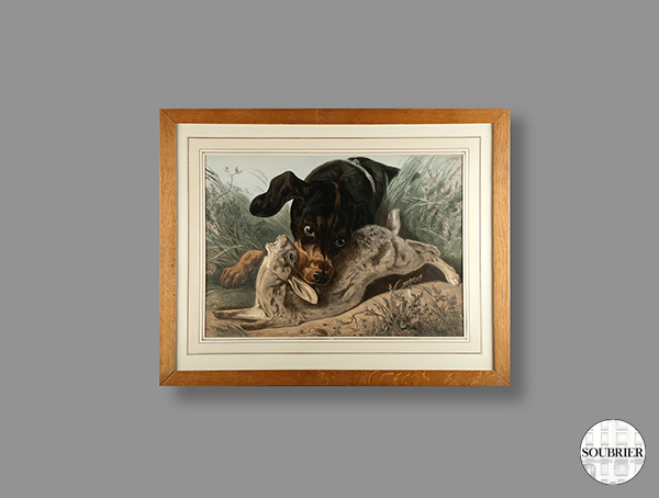 Gravure chien de chasse