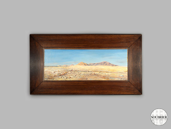 Canvas desert
